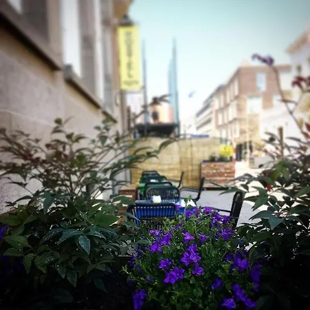 Roots ホステル ティルブルグ